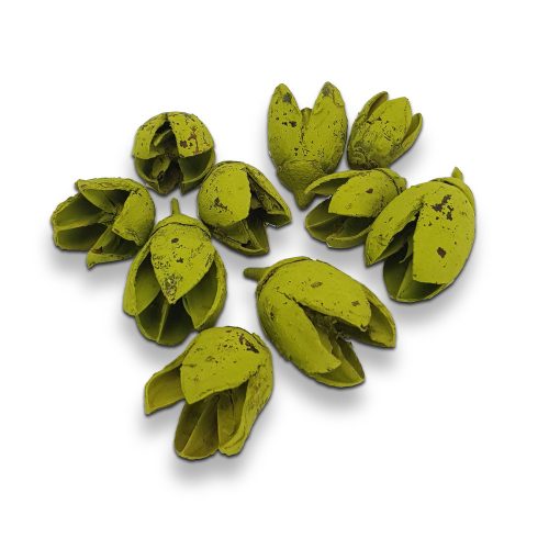 Bakulifrucht-Oliven 10 Stück/Packung