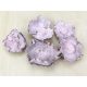 Pink poppy fruit 5pcs/pack