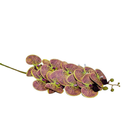 100 cm lila-burgunderfarbene Orchidee