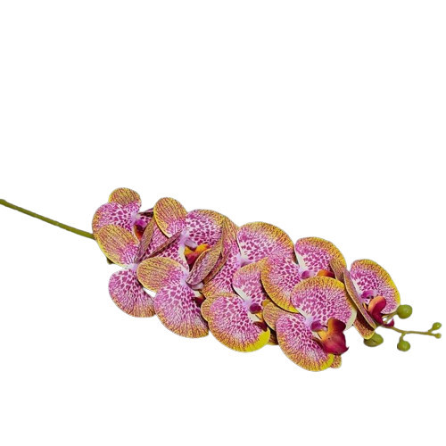 100 cm gelb-lila Orchidee