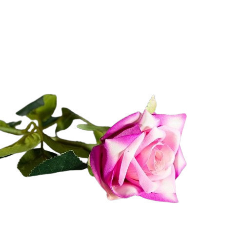 50 cm große rosa Rose