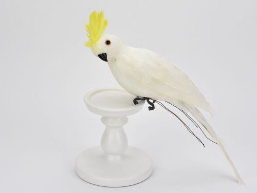 Papuga biała 36cm