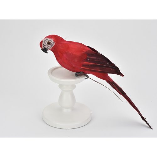 Roșu papagal 36 cm