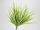 Grass bouquet v. green 2pcs/pack