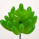 Succulent artificial plant