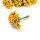 Berry mini bouquet sunny yellow