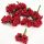 Mini buchet de fructe de padure rosu 12buc/buc
