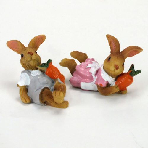 Loose bunny with a couple of carrots 2pcs/set