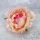 Główka piwonii - przegowana róża
