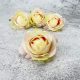 Rose head - cream with petals 4pcs/cs