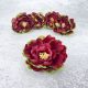 Baby brooch head - tabbed burgundy 5pcs/cs