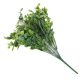 Buxus berry bouquet white