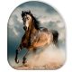 Lovas Wild Stallion formapárna, díszpárna 37x33 cm
