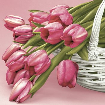 Tulipán Falling szalvéta 20 db-os 33x33 cm Tulipán Falling szalvéta 20 db-os 33x33 cm