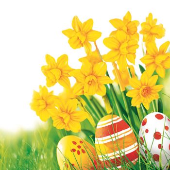 Húsvét Bunch of Daffodils szalvéta 20 db-os 25x25 cm Húsvét Bunch of Daffodils szalvéta 20 db-os 25x25 cm