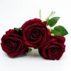 Dunkelburgunderrote Rose mit samtigem Touch, 50 cm