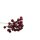 Ramura de Burgundia cu fructe de padure 31 cm