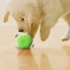Zabawka dla psa, piłka dla psa, interaktywna piłka dla psów