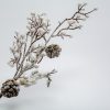 Weißer schneebedeckter Zweig mit Kegel