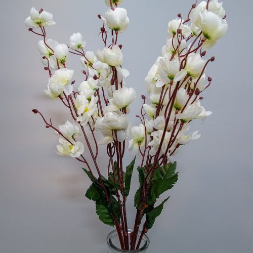 Weiße Frühlingsblumenzweige