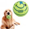 Dog toy, dog ball