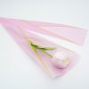 Halvány rózsaszín nyílt tulipán