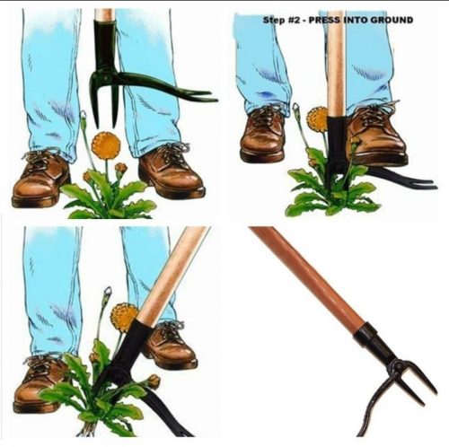 Weed removal tool head