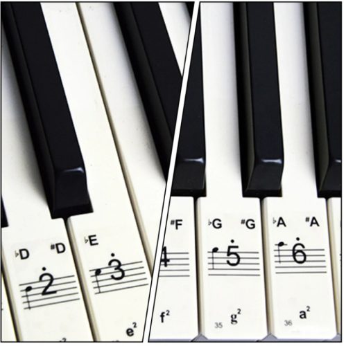 Transparent piano keyboard stickers, black and white