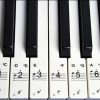 Transparent piano keyboard stickers, black and white