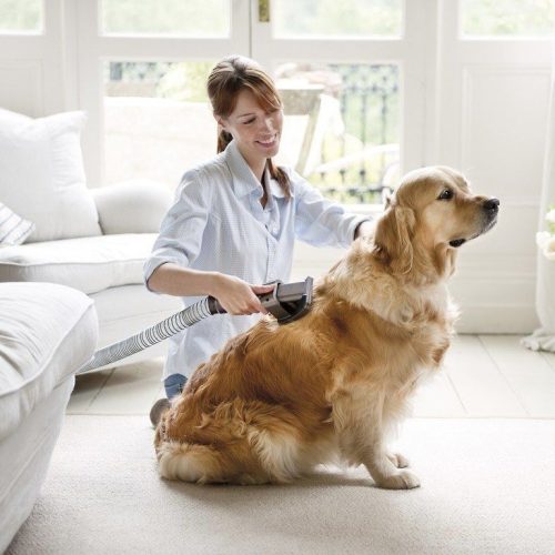 Pet brush that can be connected to a vacuum cleaner