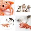 Wiggle Crab Interaktives Katzen- und Hundespiel