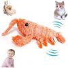 Wiggle Crab Interactive Cat and Dog Game