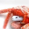 Wiggle Crab Interaktives Katzen- und Hundespiel