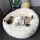 Bed for furry pets, Cat-dog bed White