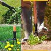 Weeding tool head, root and weed remover