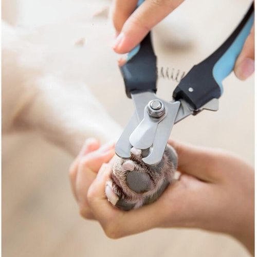 Claw clipper for small pets