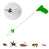 Spider and Insect Catcher Wand