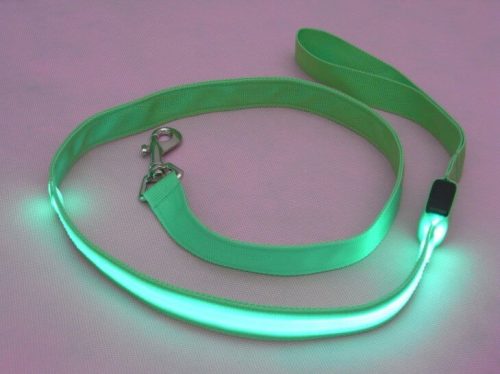 Illuminated leash green