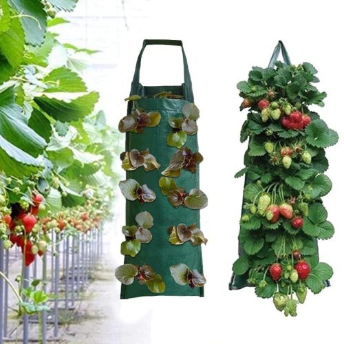 Hanging planter bag