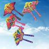Colorful hang glider
