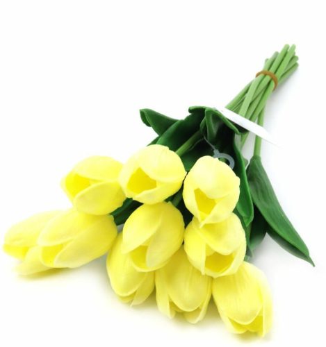 Cream-yellow tulip 1 pc