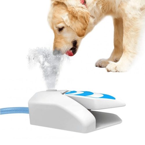 Pedal drinking fountain for dogs
