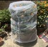 Plasa de protectie pentru planta de gradina impotriva insectelor - 100 x 150 cm