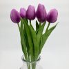 Fioletowy tulipan