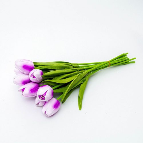Lila-magentafarbene Tulpe