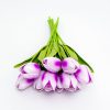Purple-magenta tulip