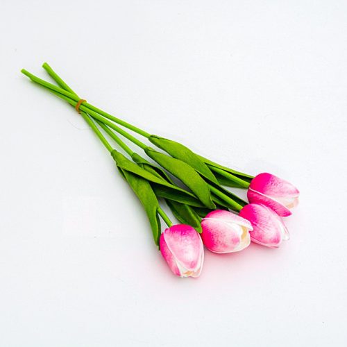 Tulipan magenta-różowy 1 szt