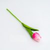 Magenta-rózsaszín tulipán 1 db