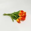 Orangefarbene Tulpe