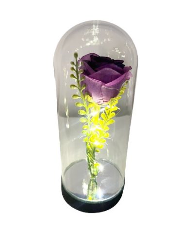 Beautiful lighting LED cryogenic rose in a hood, purple